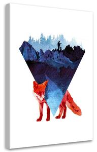 Obraz na plátně Skrytá liška - Robert Farkas Rozměry: 40 x 60 cm