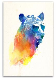 Obraz na plátně Medvěd v brýlích - Robert Farkas Rozměry: 40 x 60 cm