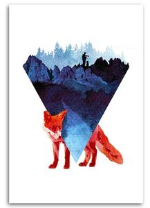 Obraz na plátně Skrytá liška - Robert Farkas Rozměry: 40 x 60 cm