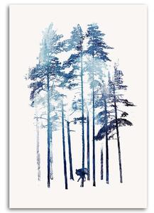 Obraz na plátně Vlk v zimě - Robert Farkas Rozměry: 40 x 60 cm