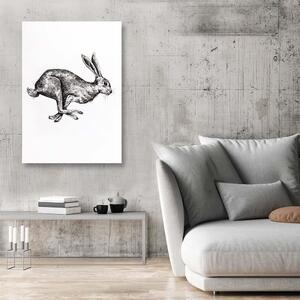 Obraz na plátně Zajíc na útěku - Jan Perit Kablan Rozměry: 40 x 60 cm