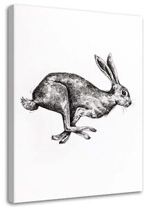 Obraz na plátně Zajíc na útěku - Jan Perit Kablan Rozměry: 40 x 60 cm