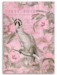 Obraz na plátně Růžový pták kakadu - Andrea Haase Rozměry: 40 x 60 cm