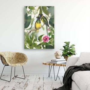 Obraz na plátně Ptáci v džungli 2 - Andrea Haase Rozměry: 40 x 60 cm
