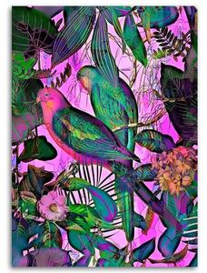 Obraz na plátně Tropicky zbarvení ptáci - Andrea Haase Rozměry: 40 x 60 cm