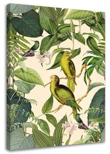 Obraz na plátně Tropičtí ptáci v džungli - Andrea Haase Rozměry: 40 x 60 cm