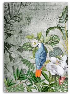 Obraz na plátně Ptačí říše - Andrea Haase Rozměry: 40 x 60 cm