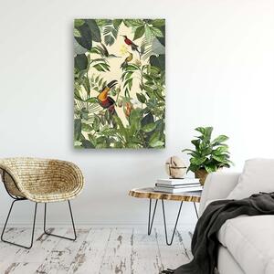 Obraz na plátně Tropický tukan - Andrea Haase Rozměry: 40 x 60 cm