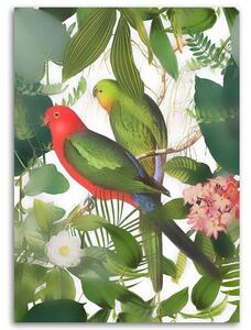 Obraz na plátně Ptáci v džungli - Andrea Haase Rozměry: 40 x 60 cm