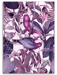 Obraz na plátně Tropičtí ptáci 4 - Andrea Haase Rozměry: 40 x 60 cm