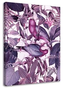 Obraz na plátně Tropičtí ptáci 4 - Andrea Haase Rozměry: 40 x 60 cm