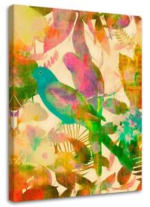 Obraz na plátně Tropičtí ptáci 2 - Andrea Haase Rozměry: 40 x 60 cm