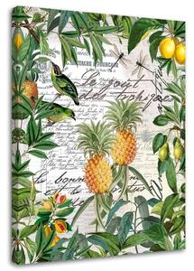 Obraz na plátně Tropické ovoce a kaligrafie - Andrea Haase Rozměry: 40 x 60 cm