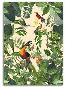 Obraz na plátně Tropický tukan - Andrea Haase Rozměry: 40 x 60 cm