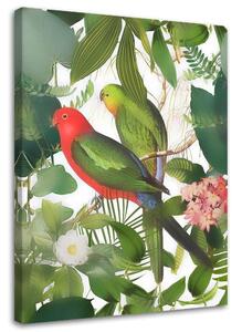 Obraz na plátně Ptáci v džungli - Andrea Haase Rozměry: 40 x 60 cm