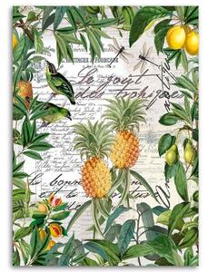 Obraz na plátně Tropické ovoce a kaligrafie - Andrea Haase Rozměry: 40 x 60 cm