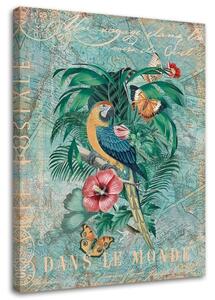 Obraz na plátně Papoušek a motýli - Andrea Haase Rozměry: 40 x 60 cm
