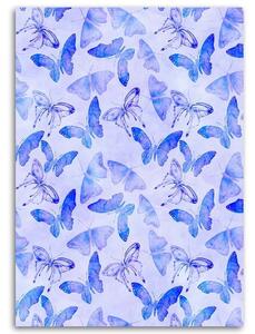Obraz na plátně Modří motýli - Andrea Haase Rozměry: 40 x 60 cm