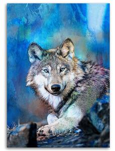 Obraz na plátně Vlk na pozadí oblohy - Andrea Haase Rozměry: 40 x 60 cm