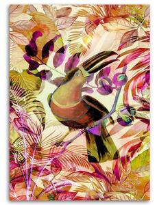 Obraz na plátně Tropicky zbarvený tukan - Andrea Haase Rozměry: 40 x 60 cm