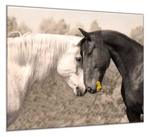 Obraz skleněný zamilovaný kůň bílý a černý - 55 x 55 cm