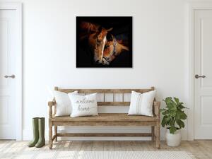 Obraz skleněný dvě koňské hlavy - 40 x 40 cm