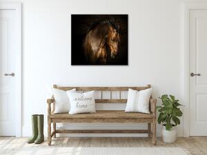 Obraz skleněný hnědý kůň s rozevlátou hřívou - 50 x 50 cm