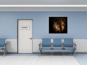 Obraz skleněný hnědý kůň s rozevlátou hřívou - 50 x 50 cm