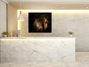 Obraz skleněný hnědý kůň s rozevlátou hřívou - 40 x 40 cm