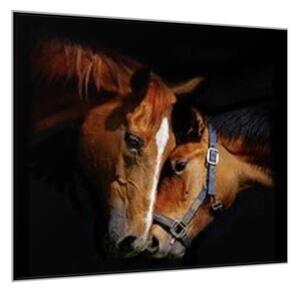 Obraz skleněný dvě koňské hlavy - 40 x 40 cm