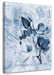 Obraz na plátně Magnólie na modrém pergamenu - Andrea Haase Rozměry: 40 x 60 cm