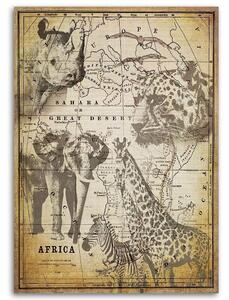 Obraz na plátně Stará mapa a zvířata - Andrea Haase Rozměry: 40 x 60 cm
