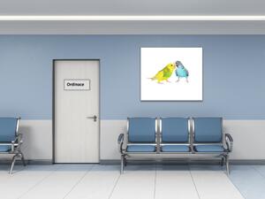 Obraz skleněný papoušek zamilované andulky - 40 x 40 cm