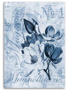 Obraz na plátně Magnólie na modrém pergamenu - Andrea Haase Rozměry: 40 x 60 cm