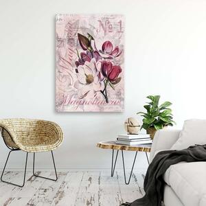 Obraz na plátně Magnólie na růžovém pergamenu - Andrea Haase Rozměry: 40 x 60 cm
