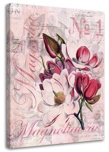 Obraz na plátně Magnólie na růžovém pergamenu - Andrea Haase Rozměry: 40 x 60 cm