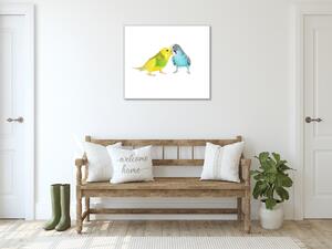 Obraz skleněný papoušek zamilované andulky - 40 x 40 cm