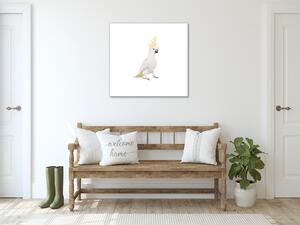 Obraz skleněný papoušek kakadu - 40 x 40 cm
