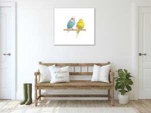 Obraz skleněný andulky - papoušek - 40 x 40 cm
