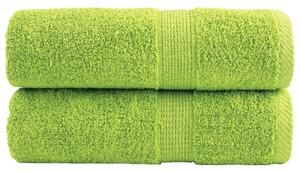 Prémiové mycí utěrky SOLUND 2 ks jablečně zelené 30x30 cm 600 g/m² 137491