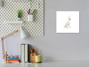 Obraz skleněný papoušek kakadu - 40 x 40 cm