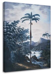 Obraz na plátně Palma v džungli - Andrea Haase Rozměry: 40 x 60 cm