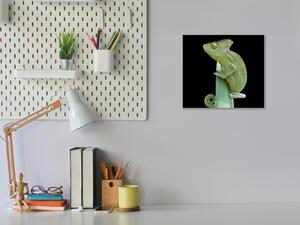 Obraz skleněný chameleon - 40 x 40 cm