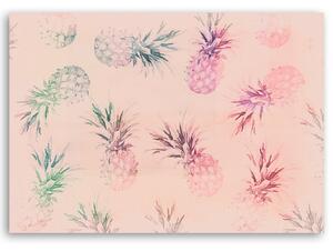 Obraz na plátně Růžové ananasy - Andrea Haase Rozměry: 60 x 40 cm