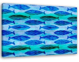 Obraz na plátně Hejno modrých ryb - Andrea Haase Rozměry: 60 x 40 cm