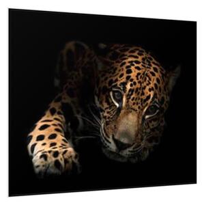 Obraz skleněný ležící leopard - 55 x 55 cm