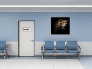 Obraz skleněný šelma portrét leoparda - 40 x 40 cm