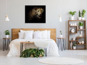 Obraz skleněný šelma portrét leoparda - 40 x 40 cm