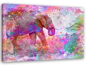 Obraz na plátně Barevný slon - Andrea Haase Rozměry: 60 x 40 cm