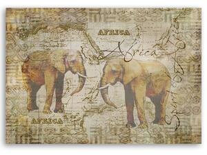 Obraz na plátně Dva dospělí sloni - Andrea Haase Rozměry: 60 x 40 cm